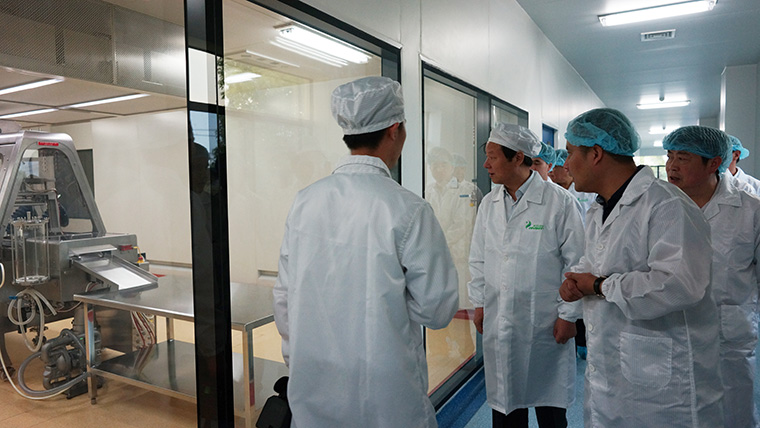 亳州市副市长郝璞峰一行莅临我司参观指导