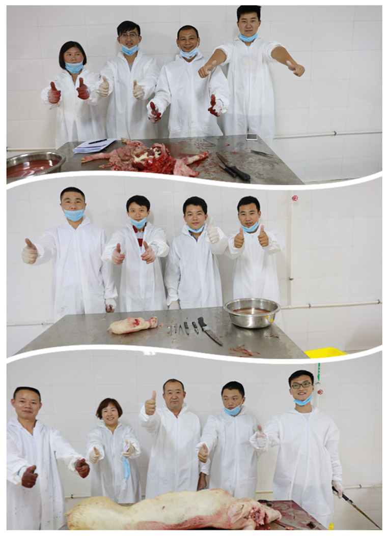 祝贺东方帝维健康养殖技术学院第四期培训班圆满成功！