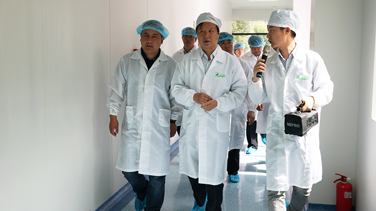 亳州市副市长郝璞峰一行莅临我司参观指导