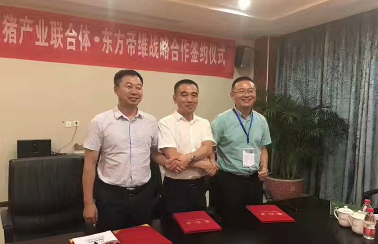 潜龙飞天——安徽生猪产业联合体采购联盟走进东方帝维成功启动并签订战略合作协议！