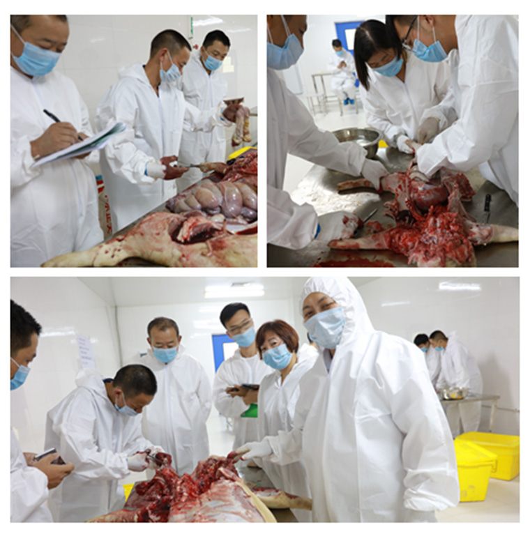 祝贺东方帝维健康养殖技术学院第四期培训班圆满成功！