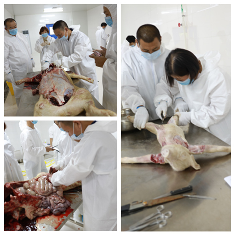 祝贺东方帝维健康养殖技术学院第四期培训班圆满成功！