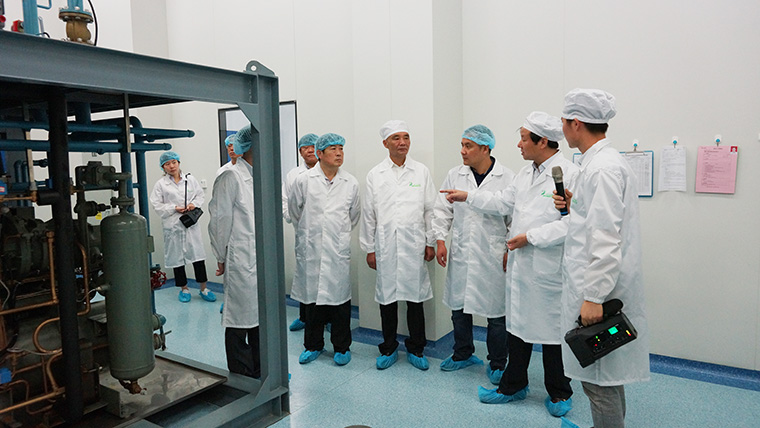 亳州市副市长郝璞峰一行莅临我司参观指导