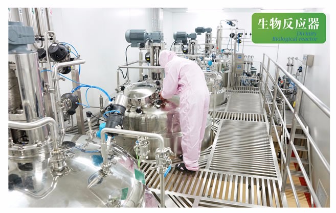 生物反应器1