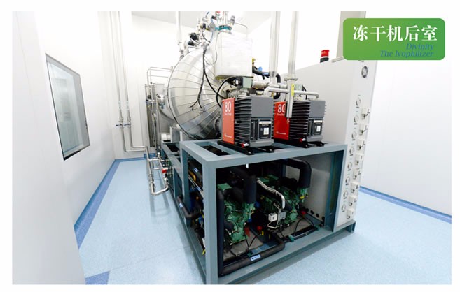 冻干机后室